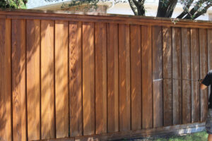Best Wood for Fence